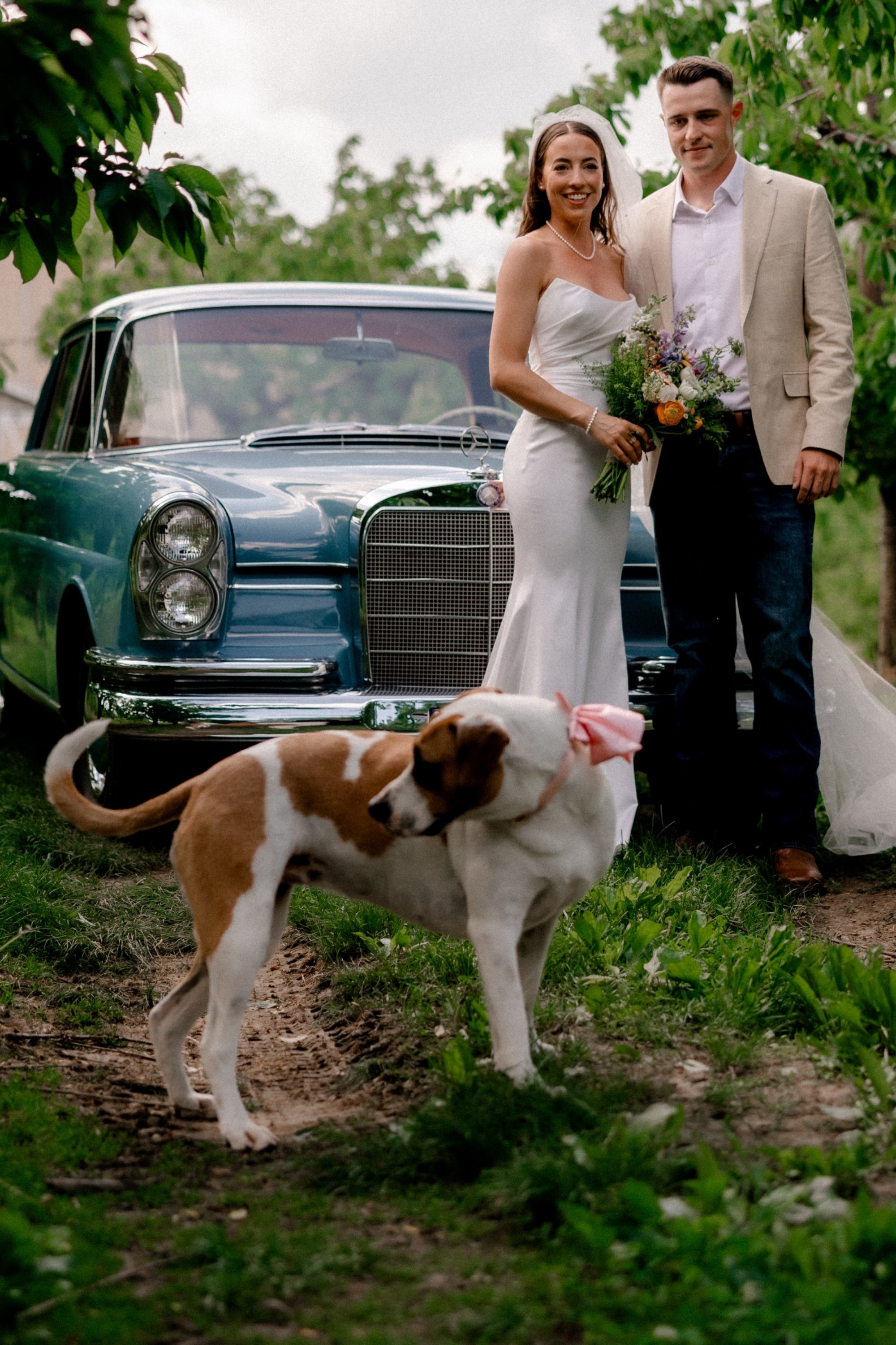 carousel-hero-element image-2